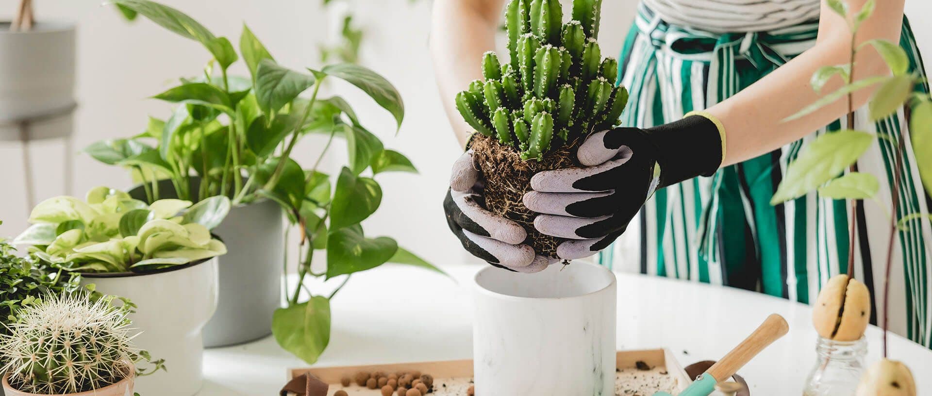 Bosan saat WFH? Yuk Lakukan 7 Aktivitas Ini agar Tak Suntuk Lagi!