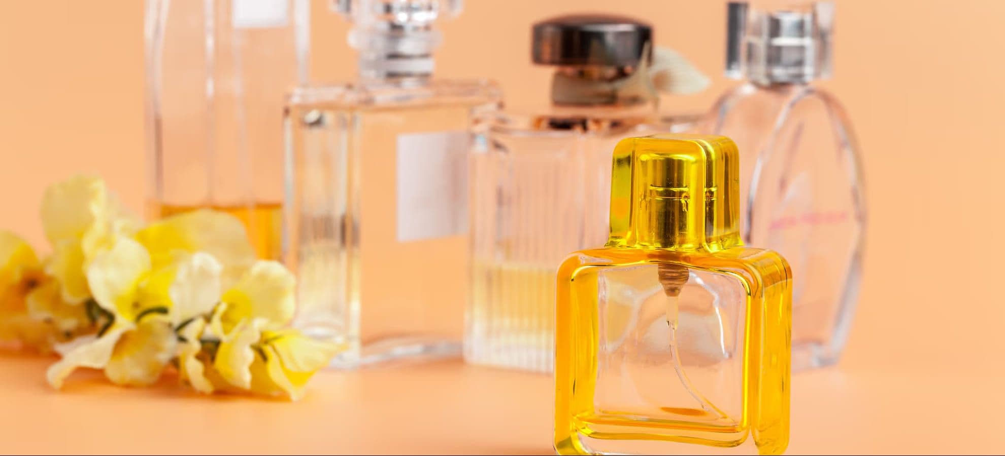 Penasaran Parfum Mana yang Cocok Buatmu? Yuk, Kenali Jenis dan Ketahanannya!