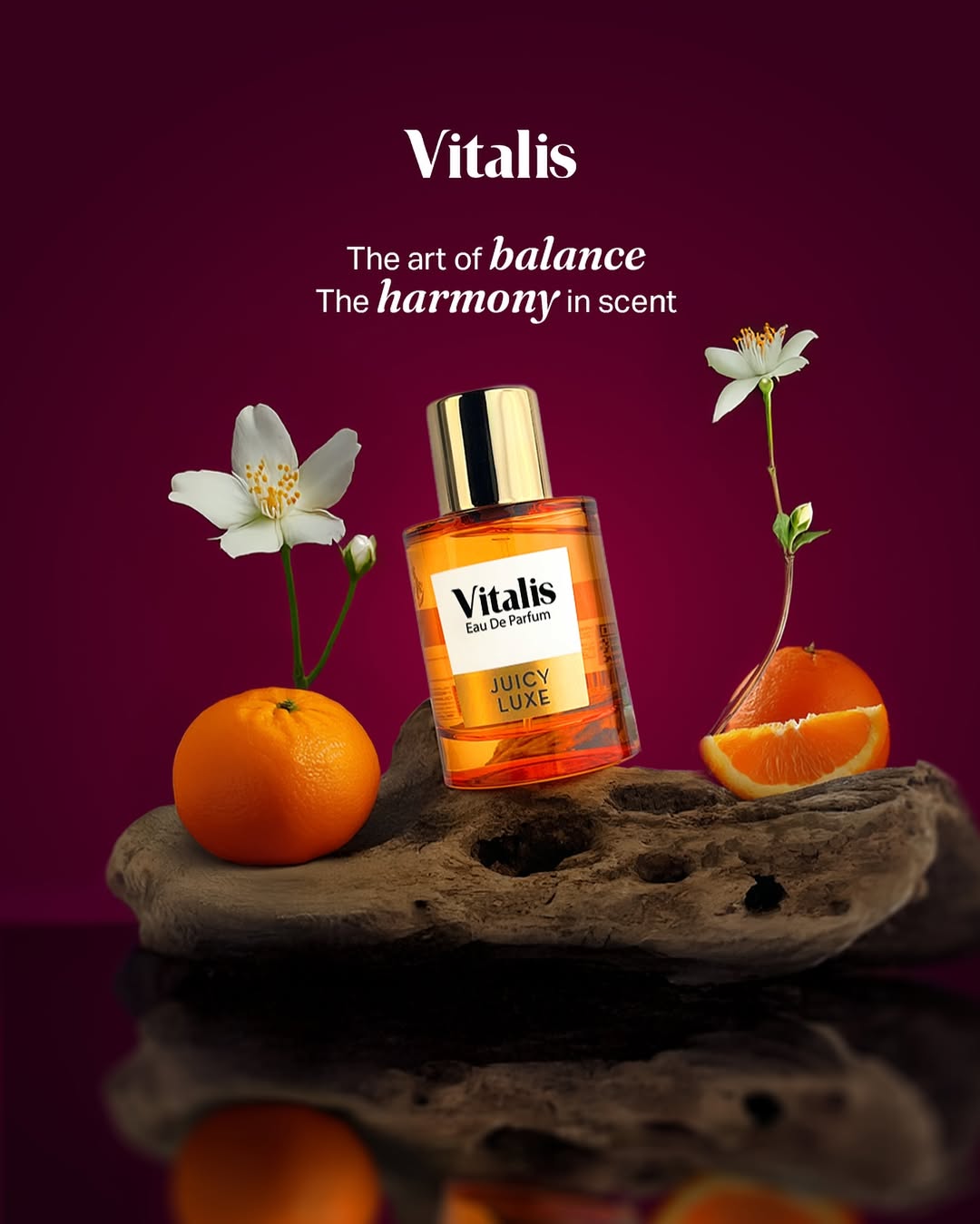 Vitalis The Art of Balance